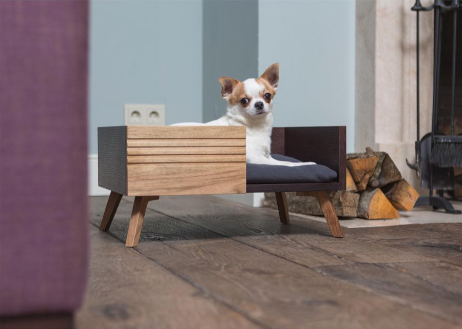 Modern Pet Feeders, Beds, and More from PETTEL