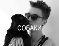 КАТАЛОГ