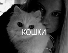 КАТАЛОГ