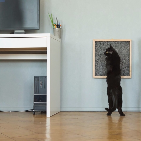 Когтеточка FRAME